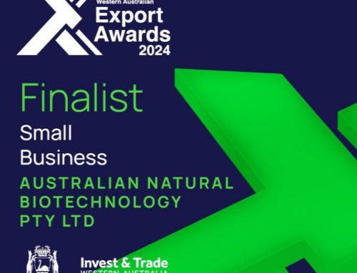 X Export Awards 2024 Small Business